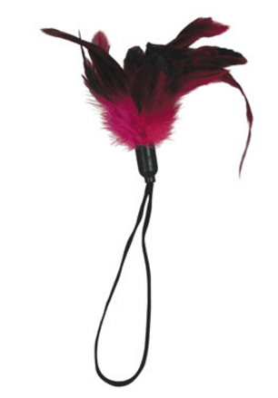 0013106_sportsheets-pleasure-feather-rose_czpasalzefikacrt.png